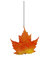 twirling leaf