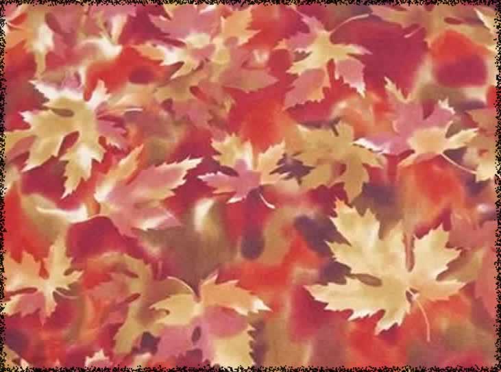 Color Leaves Background