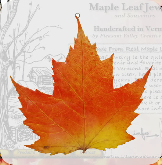 Maple Leaf Suncatcher