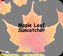 Maple Leaf Suncatcher